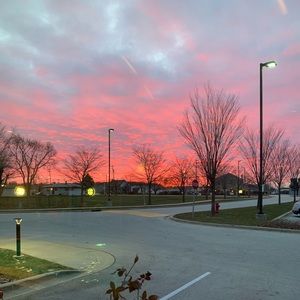 Meet your Posher, Selma